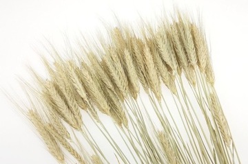 TRITICAL NATURAL домашние сушеные хлопья