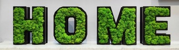 HOME 3D надпись, мох стоячий, ширина до 90 см, высота 21,5 см