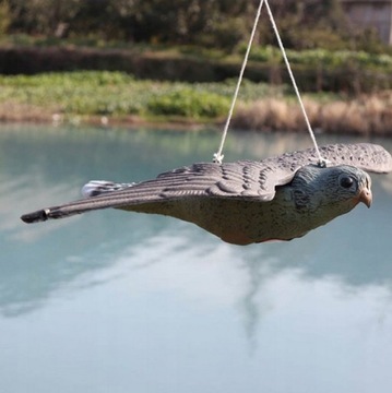 СОКОЛ, ОТПУСКАТЕЛЬ ПТИЦ, ГОЛУБИ, ЯСКОВ В ЛЕТЕ, ИСКУССТВЕННЫЙ РЕАЛИСТИК