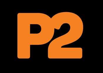 P2 WA 235 — Кассовый домофон