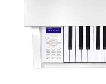 CASIO GP-310 МЫ + СКАМЬЯ