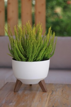 Чаша Roma Цветочный горшок на ножках 330 Ламела Белый