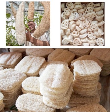 Натуральная губка для мытья тела LOOFAH Eco Plant