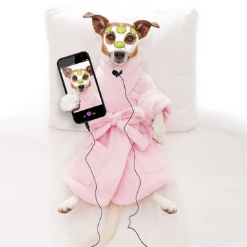 ПРИВЯЗНОЙ МИКРОФОН MOZOS LAVMIC1 С ЗАЖИМОМ ДЛЯ ТЕЛЕФОНА С КАМЕРОЙ, РАЗЪЕМ 3,5 ММ