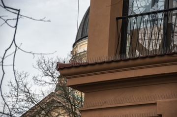 ПЛОТНЫЕ ПТИЦЕВЫЕ ШИПЫ ОТ ПРОИЗВОДИТЕЛЯ AVIK R140