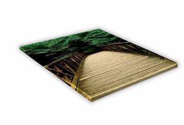 SZKLANA DESKA KUCHENNA 25x25 457e Most