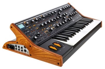 Moog Последующий 37 Стандарт