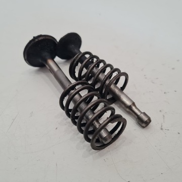 TECUMSEH BVS 143 КОМПЛЕКТ ВПУСКНЫХ ВЫПУСКНЫХ КЛАПАНОВ