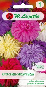 Aster chiński chryzantemowy 1,25g mix nasiona