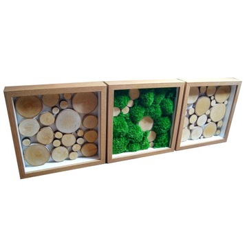 Три рамы, подушка из мха и дерева, 3х30/30.