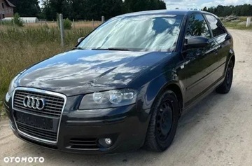 Audi A3 8P Hatchback 3d 1.9 TDI 105KM 2006 Audi A3 3-drzwiowe 1.9 Diesel 105KM