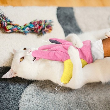 Игрушки для котят Домашние кошки Котята-дразнители Перчатки