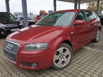 Audi A3 8P Hatchback 3d 1.6 FSI 115KM 2007 Audi A3 Sportback 1.6 benzyna CLIMATRONIC PIEKNY kolor bez rdzy 1.6 115KM, zdjęcie 2