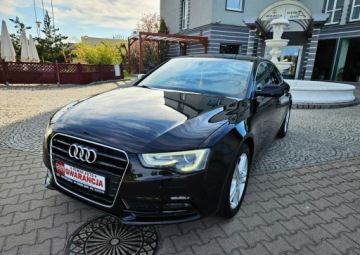 Audi A5 8T Sportback Facelifting 2.0 TDI 177KM 2012 Audi A5 Sportback 12/13r 177PS Navi ZadbanyRata800, zdjęcie 2