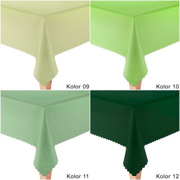 ЦВЕТА ПЯТНЕУСТОЙЧИВОЙ СКАТЕРТИ 200x140 Черный