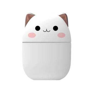 250ml Air Humidifier Cute Aroma Diffuser With Night Light Cold Mist for