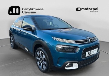 Citroen C4 Cactus Crossover Facelifting 1.2 PureTech 131KM 2018 Citroen C4 Cactus Nowy rozrzad i hamulce, Shine, Tempomat, GPS, Kamera,, S, zdjęcie 11