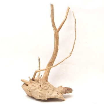 Korzeń Japoński Red Moor 25x12x8cm do Akwarium lub Terrarium F382