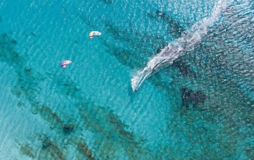 DTK 2023 - Кайт Dice SLS C02: ванильный/синий 8м