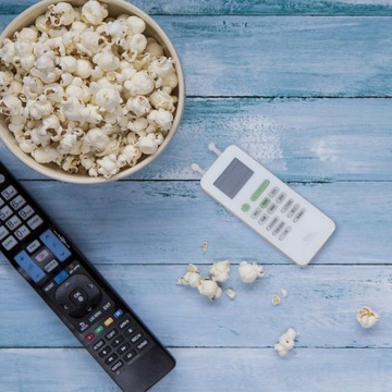 ЗАЩИТНЫЙ КЕЙС ДЛЯ ПУЛЬТА ДЛЯ ТЕЛЕВИЗИОННОЙ АНТЕННЫ