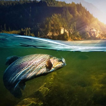 220 Широкоугольный инфракрасный эхолот для подводной рыбы