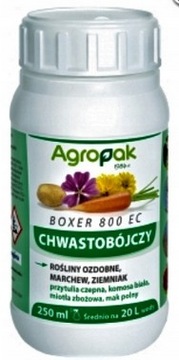 BOXER 800EC 250ml na CHWASTY w WARZYWACH ZIEMNIAKU