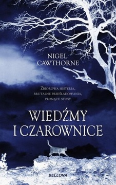Wiedźmy i czarownice Nigel Cawthorne