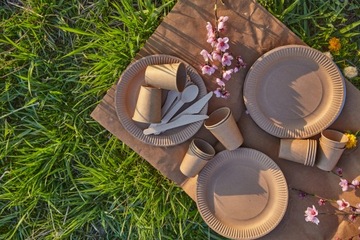 ЭКО гриль набор одноразовой посуды на 50 персон