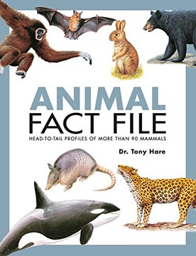 Animal Fact File Hare Tony
