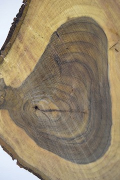 Доска Patera Slice 53x41Gr5 Ореховая древесина