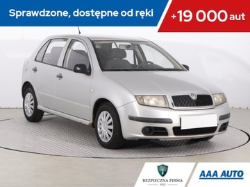 Skoda Fabia I Hatchback 1.2 i 54KM 2004