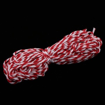 Бумажные подарочные бирки Du Da Bist, 100 шт., бирки для ювелирных изделий, белые, 5,8 x белые