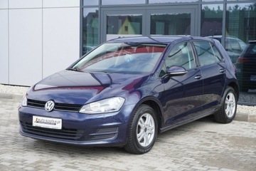 Volkswagen Golf VII Hatchback 3d 1.6 TDI-CR DPF 105KM 2013 Volkswagen Golf Grzane fotele, Navi Czujniki Klima, zdjęcie 2