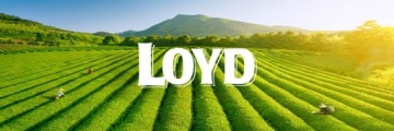 Классический интенсивный черный экспресс-чай 100% черный чай 20T LOYD