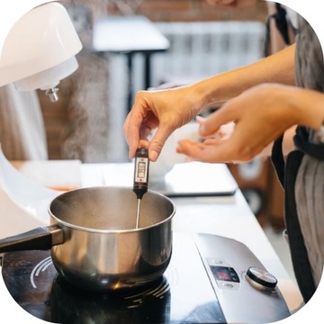 ШТЫРЕВОЙ ТЕРМОМЕТР С ЗОНДОМ + БАТАРЕЯ