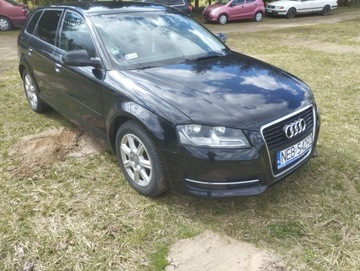 Audi A3 8P Hatchback 3d 1.6 TDI 105KM 2012 Audi A3 8P 1.6TDI HB 5D,2012r., zdjęcie 1
