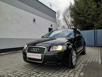 Audi A3 8P Hatchback 3d 1.9 TDI 105KM 2005 Audi A3 Sportback 1.9 TDI 105KM Klimatronik