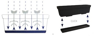 Балконный ящик Лобелия вазон 60 Кремовый