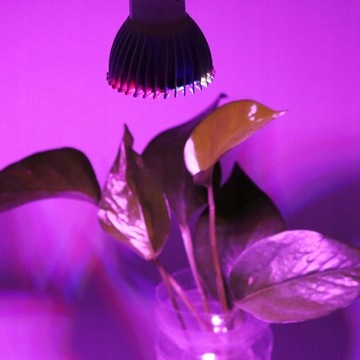 ЛАМПОЧКА ДЛЯ РОСТА РАСТЕНИЙ GU10 28x LED