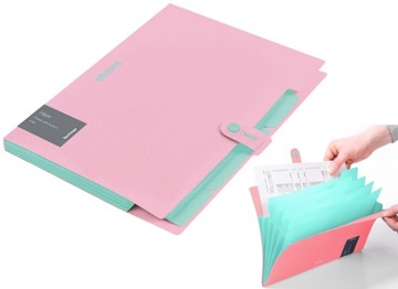 БЕРЛИНГО ВЕЩАНИЕ С 5 ОТДЕЛЕНИЯМИ А4 HAZE РОЗОВЫЙ