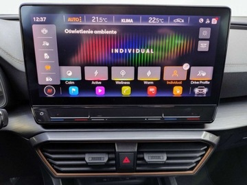 Cupra Formentor 2022 Cupra Formentor 1.4 Hybryda Plug-in 150KM, zdjęcie 18