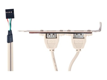 GEMBIRD CCUSBRECEPTACLE Розетка Gembird, направляющая для корпуса 2XUSB