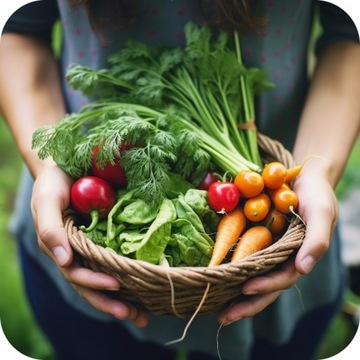 REVUS 250 SC 50ML БОРЬБЫ С ПОРОШКОВЫМ СРЕДНЫМ РАЗРУШЕНИЕМ ГРИБКОВЫХ ПОМОЩЕЙ ТОМАТОВ