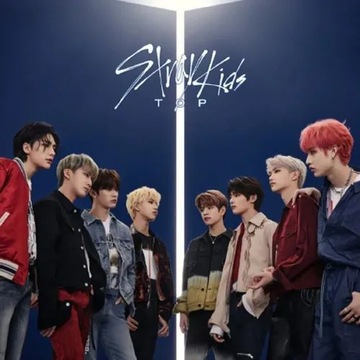 Палка поддержки Stray Kids