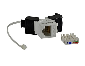 DIGITUS Gniazdo RJ45 UTP kat.6 beznarzędziowe
