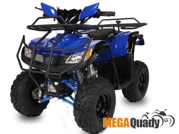 ATV Quad 110 125 пластиковый основной корпус BMW СИНИЙ