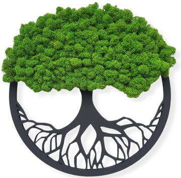 Drzewko z mchem, koło, drzewko szczęścia, bonsai, Obraz z mchu, Prezent