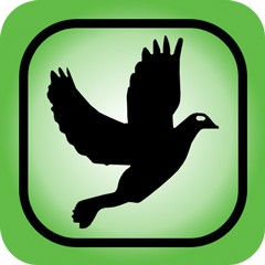 Чехол на крышу и окна WINTER L седан