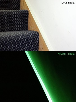 Фотолюминесцентная сигнальная лента 50мм/10м