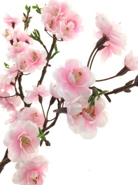 ЦВЕТЫ ЯБЛОКА Ветка СВЕТЛО-РОЗОВАЯ ОТТЕНЕННАЯ 65 см НАТУРАЛЬНЫЙ ПРЕМИУМ
